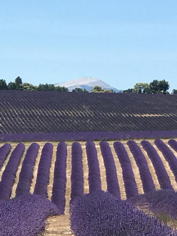 Villa Au Pied Du Ventoux Mormoiron エクステリア 写真